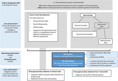 Licensing of Orphan Medicinal Products—Use of Real-World Data and Other External Data on Efficacy Aspects in Marketing Authorization Applications Concluded at the European Medicines Agency Between 2019 and 2021